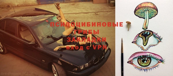 хмурый Абинск