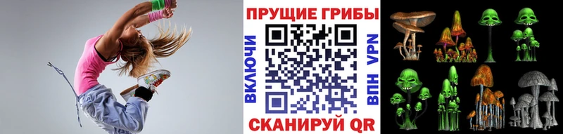 цена наркотик  Алагир  Галлюциногенные грибы Cubensis 